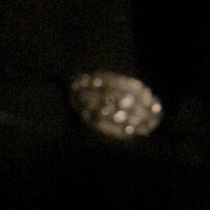 1930’s platinum Diamond ring, size 7 and stunning!